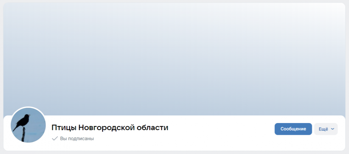 птицы вк.png