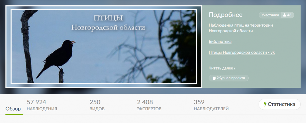 птицы натуралист.png