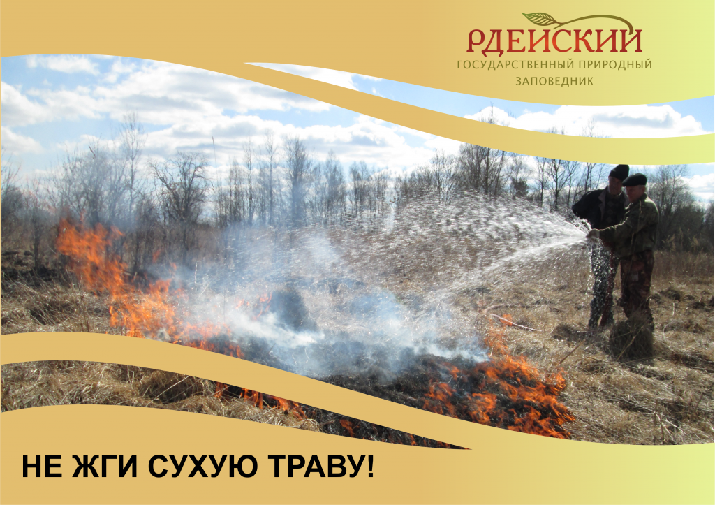 листовка